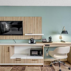 One-Bedroom King Suite